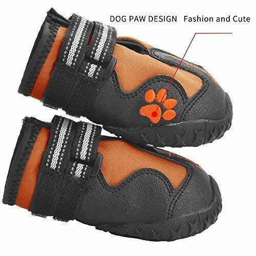 summer dog walking shoes